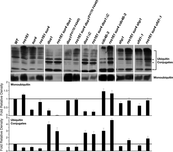 FIG. 9.