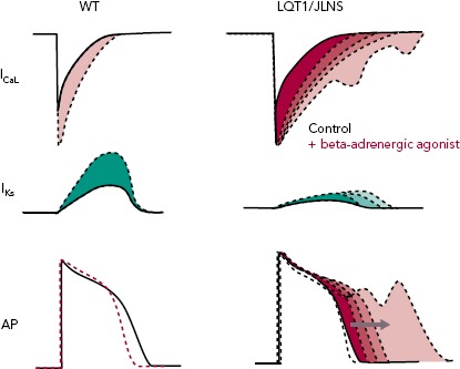 Figure 3: