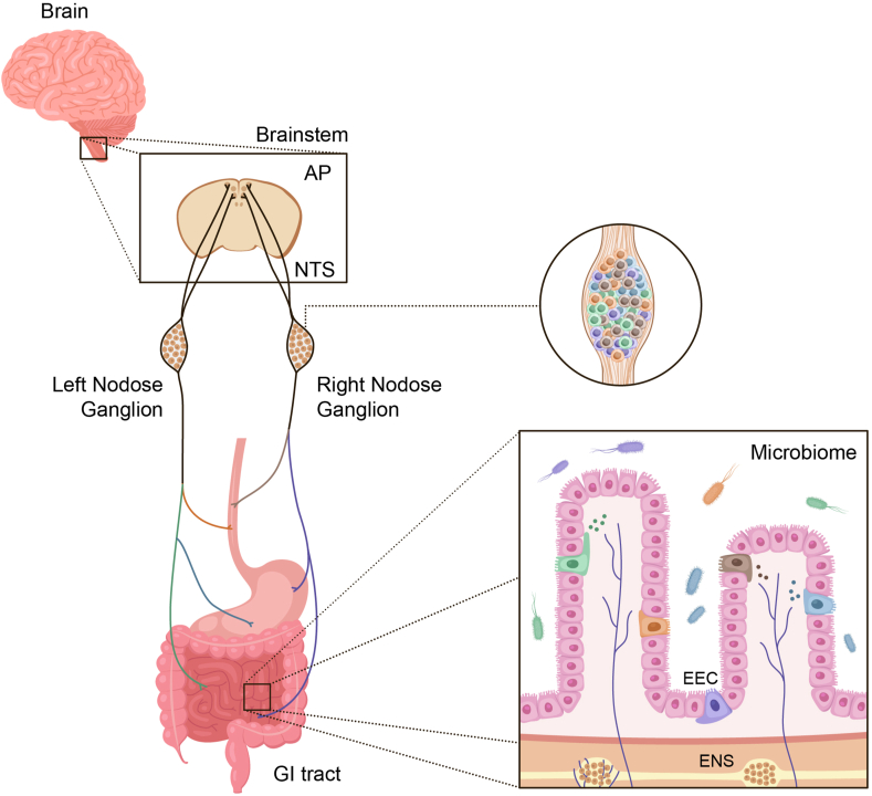 Figure 1