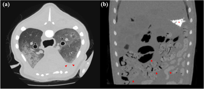 Fig. 4