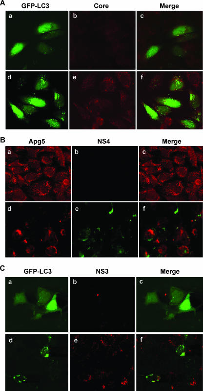 FIG. 4.