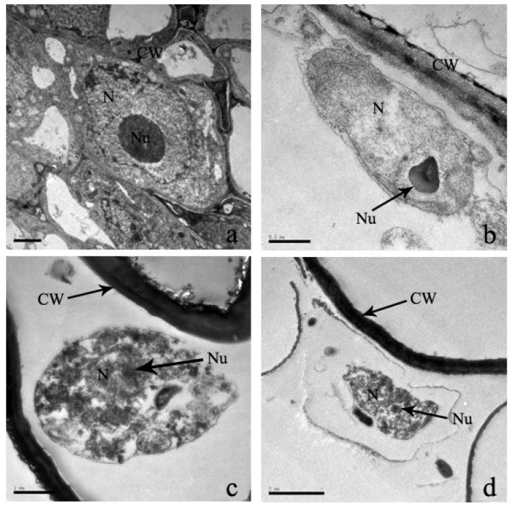 Figure 12