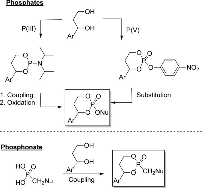 Figure 24