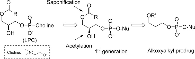 Figure 29