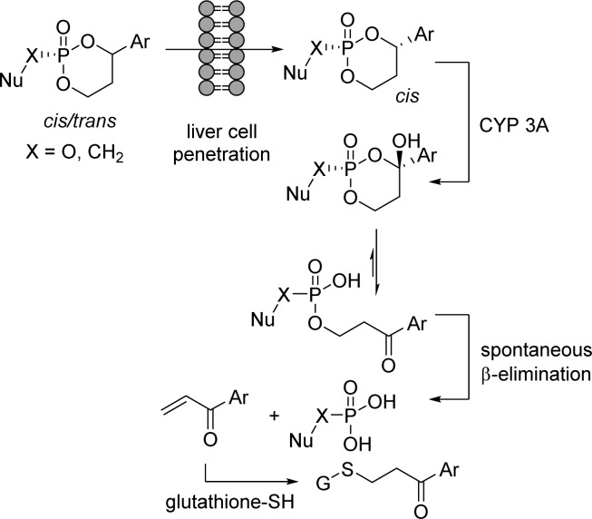 Figure 23