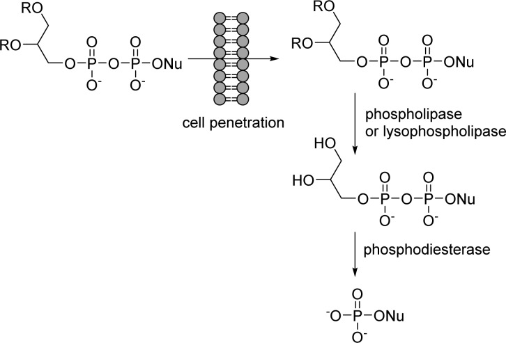 Figure 49