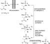Figure 33
