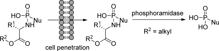 Figure 39