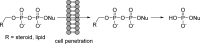 Figure 52