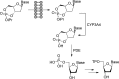 Figure 26