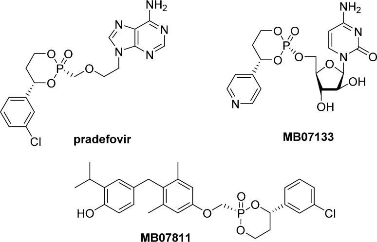 Figure 22