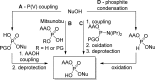 Figure 30