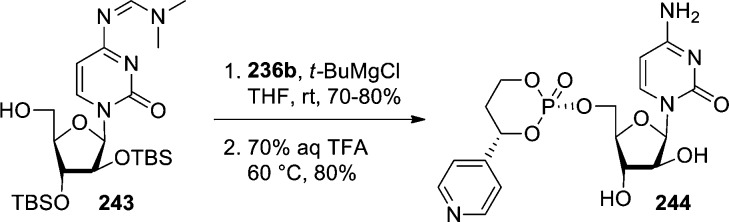 Scheme 72