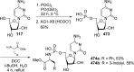 Scheme 142