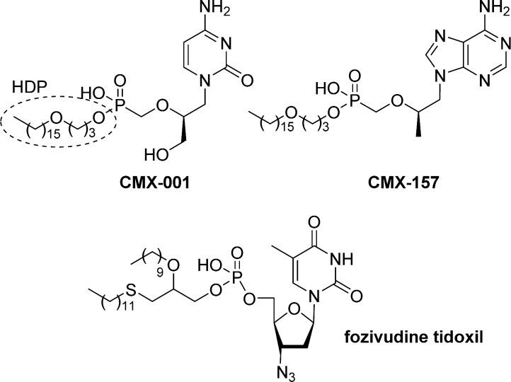 Figure 27