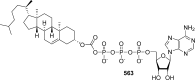 Figure 51