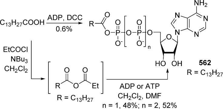 Scheme 174