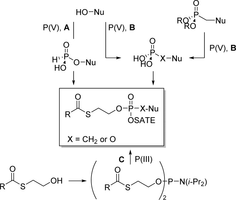 Figure 11