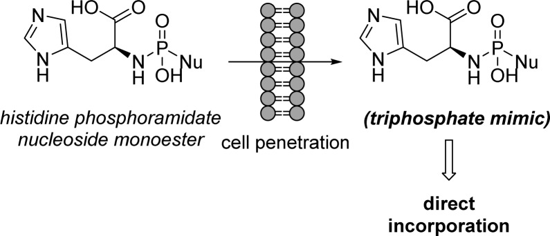 Figure 40