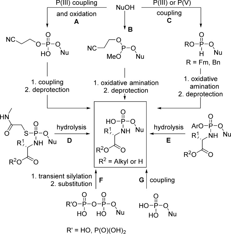 Figure 41