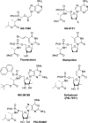 Figure 32
