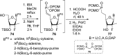 Scheme 21