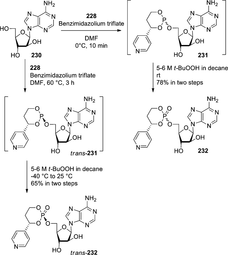 Scheme 68