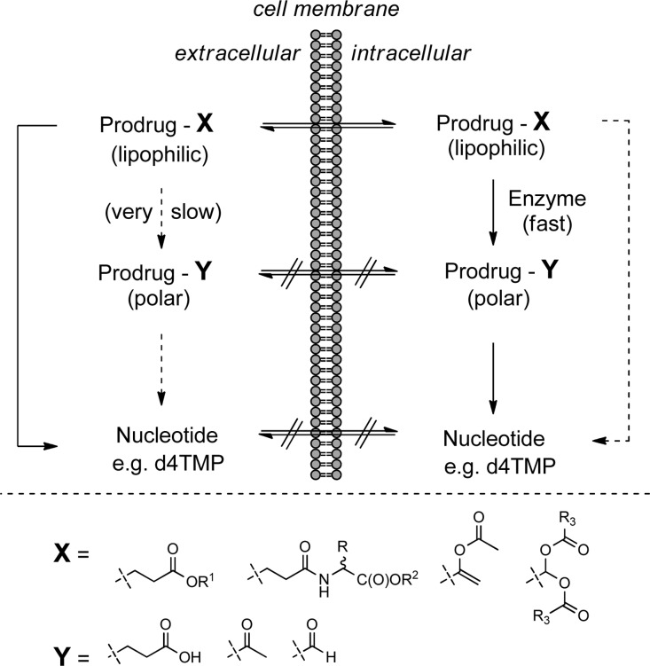 Figure 20