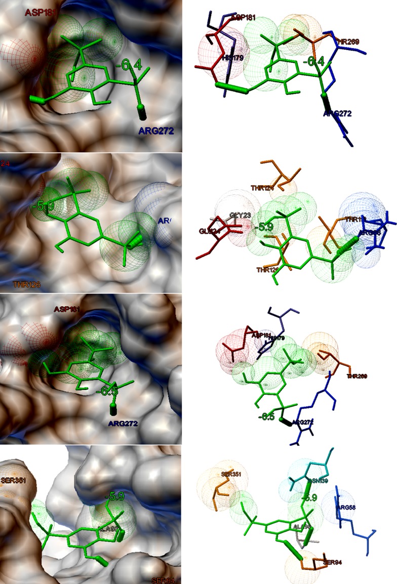 Fig. 4