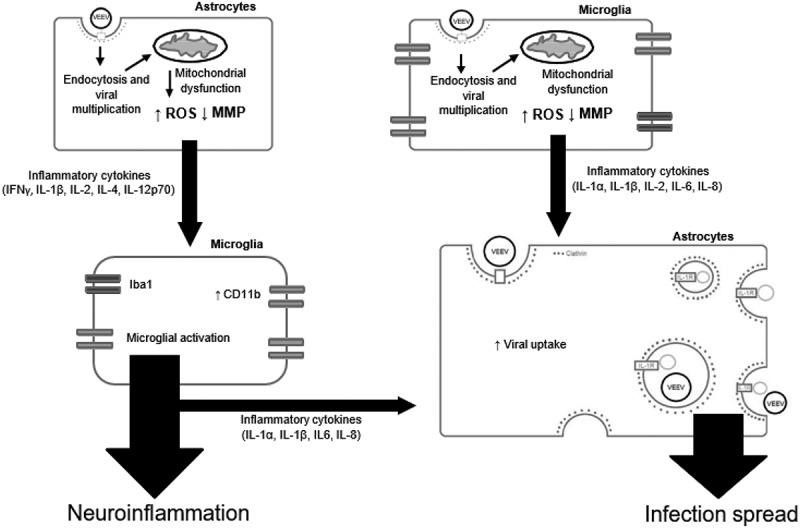 Figure 10.