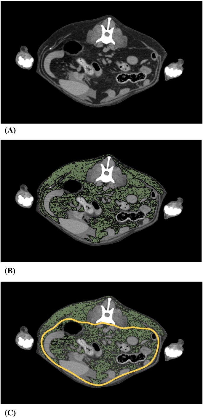 Fig. 1.