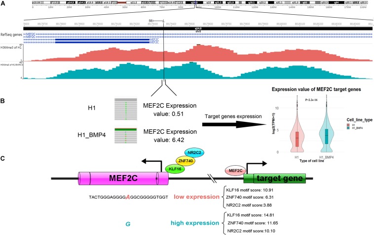 FIGURE 6