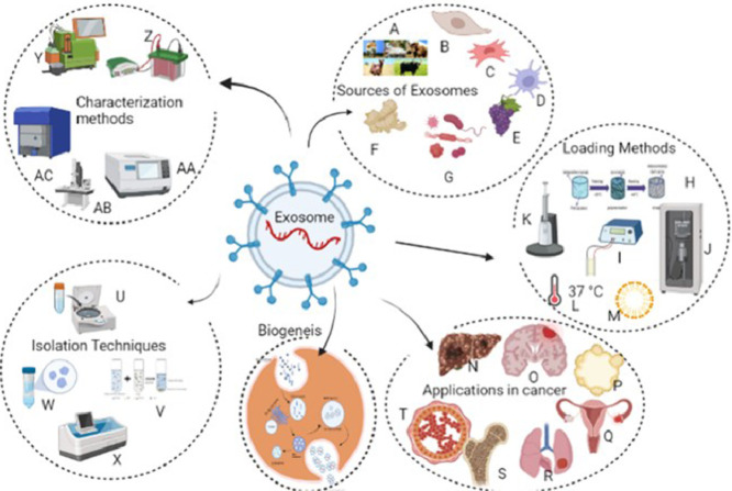 Image, graphical abstract