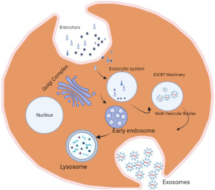 Fig 2: