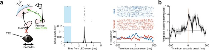 Extended Data Fig. 6