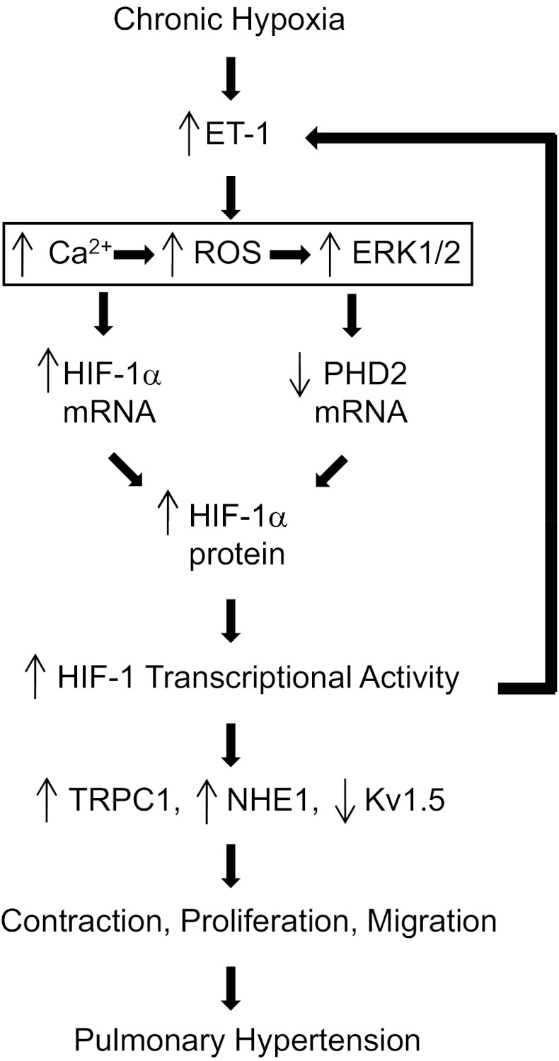 Fig. 9.