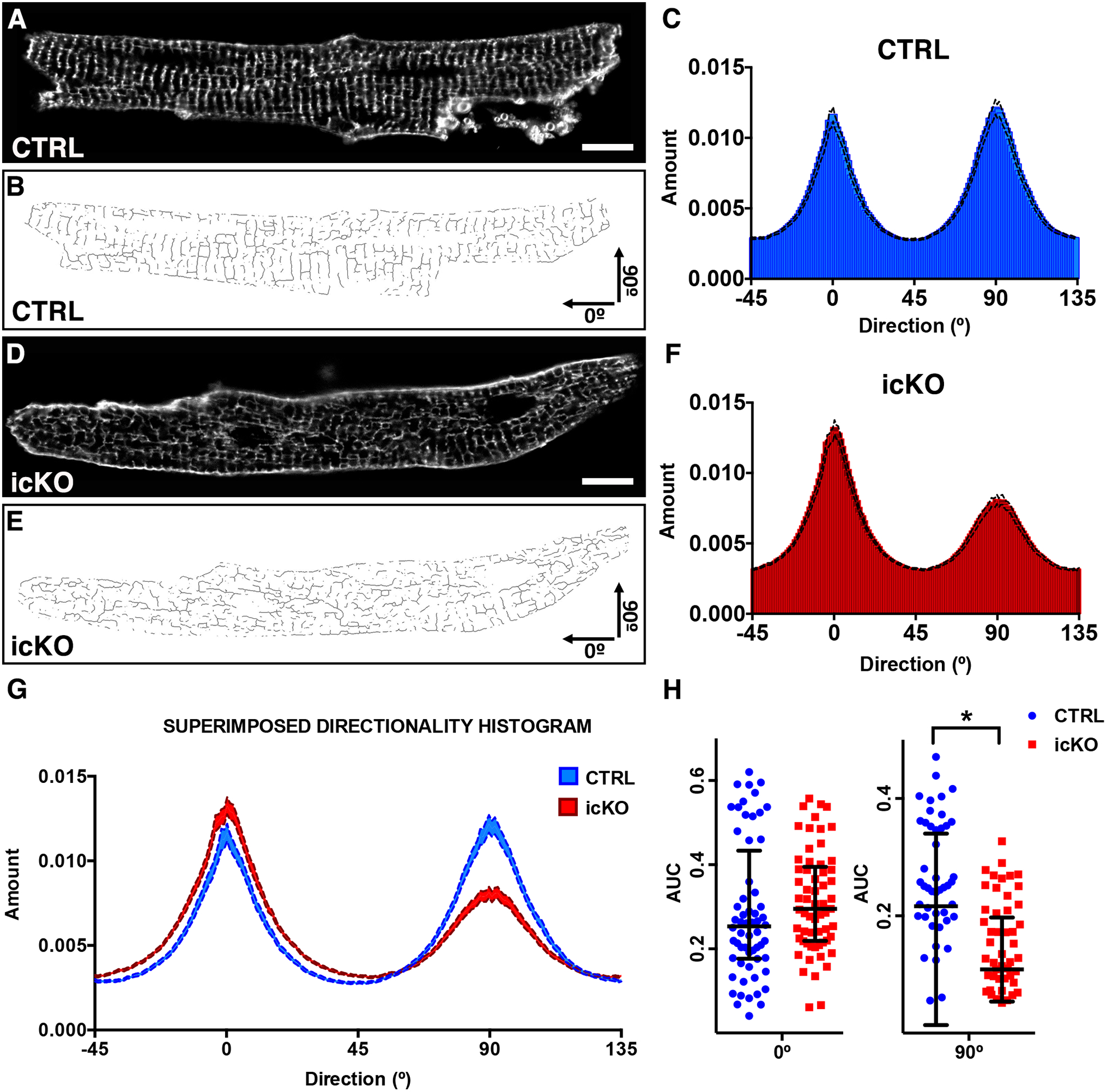 Figure 4 -