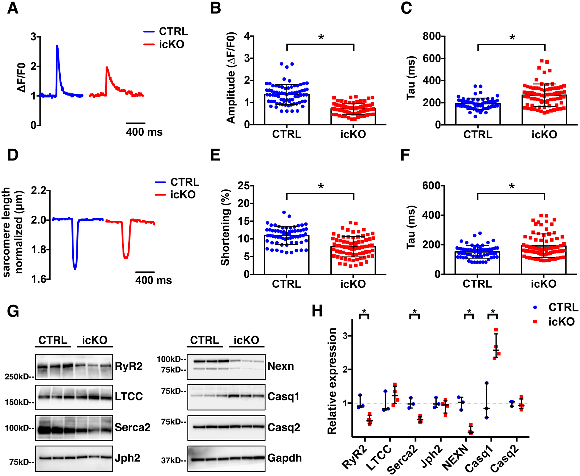 Figure 3 -