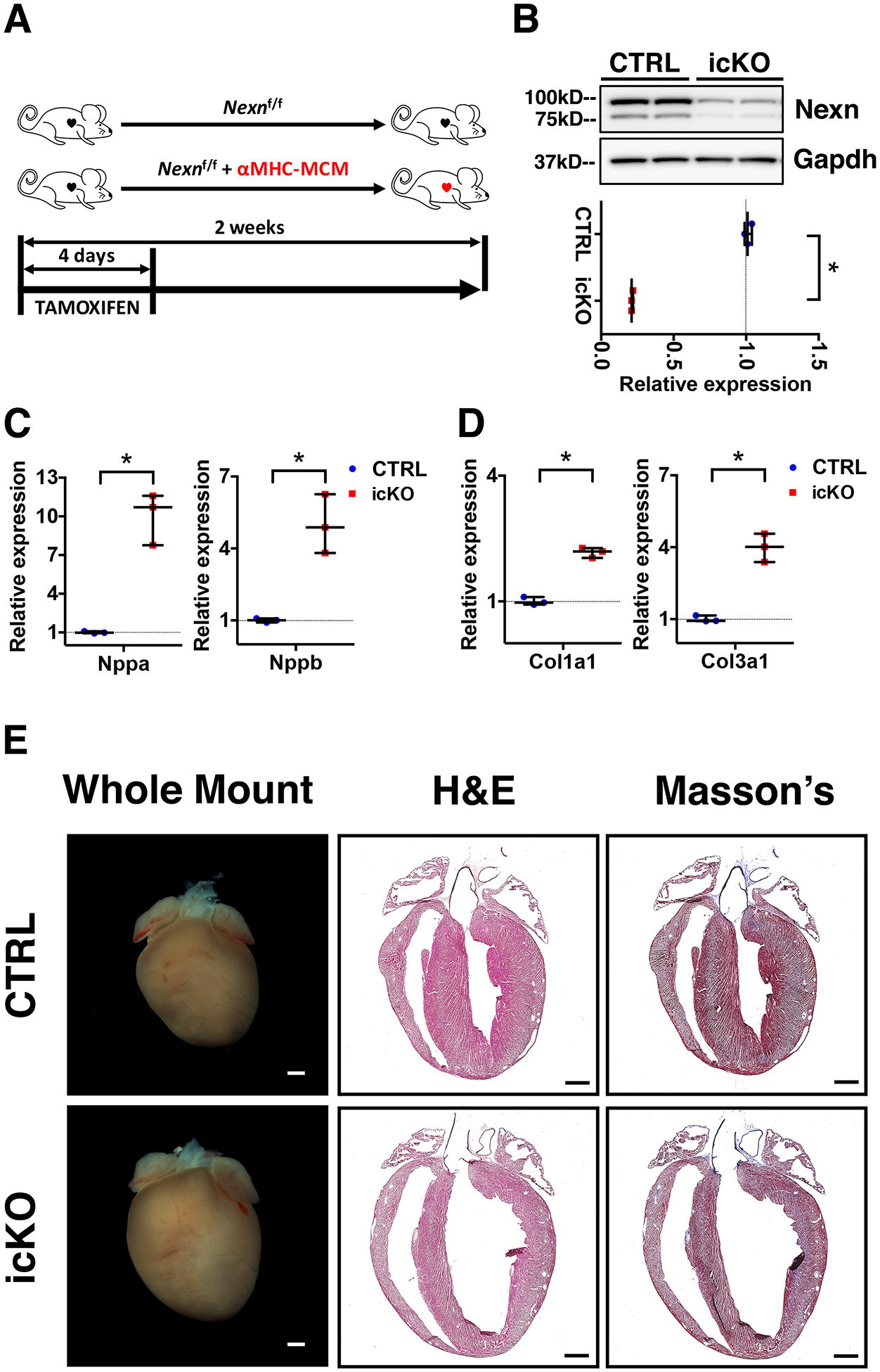 Figure 1 -