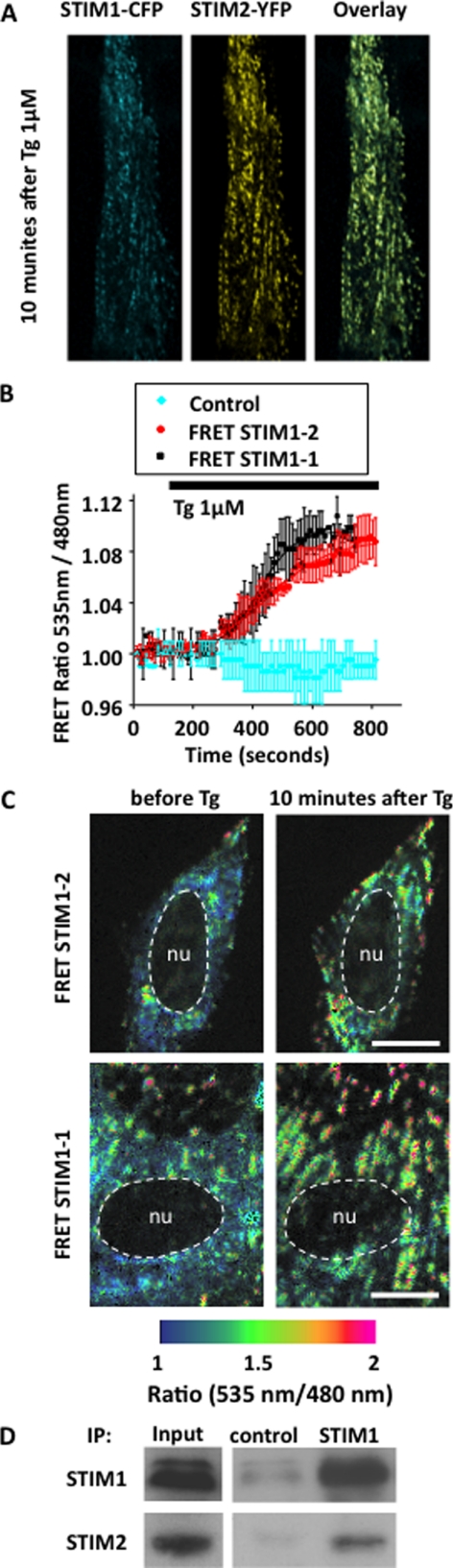 FIGURE 3.