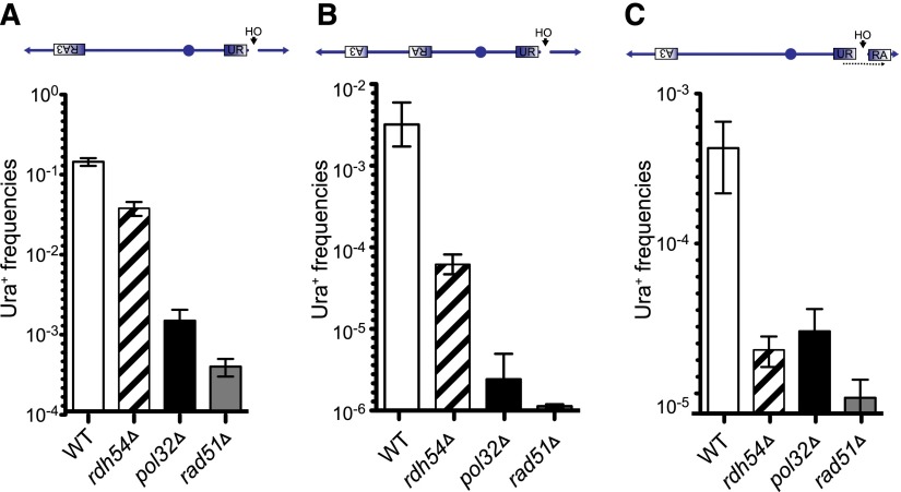 Figure 6.