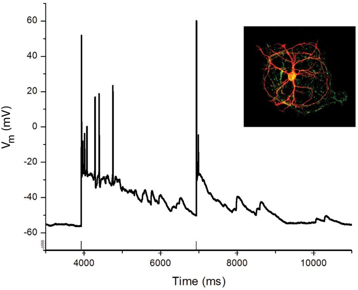 Fig 1