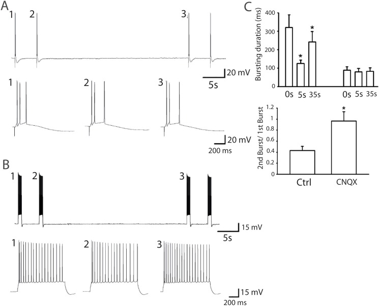 Fig 6