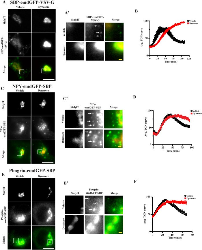 FIGURE 4: