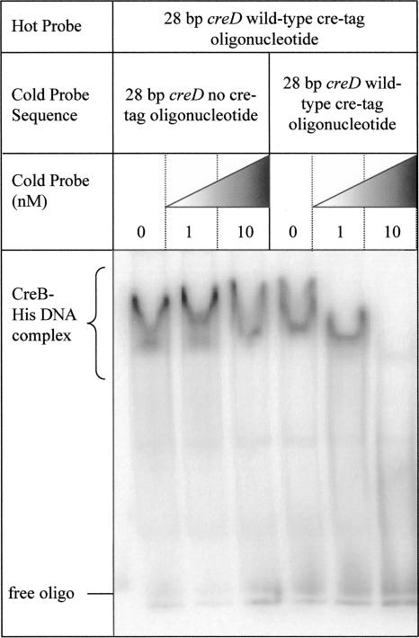 FIG. 9.