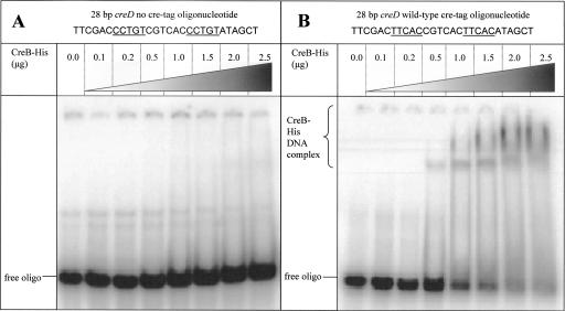 FIG. 8.