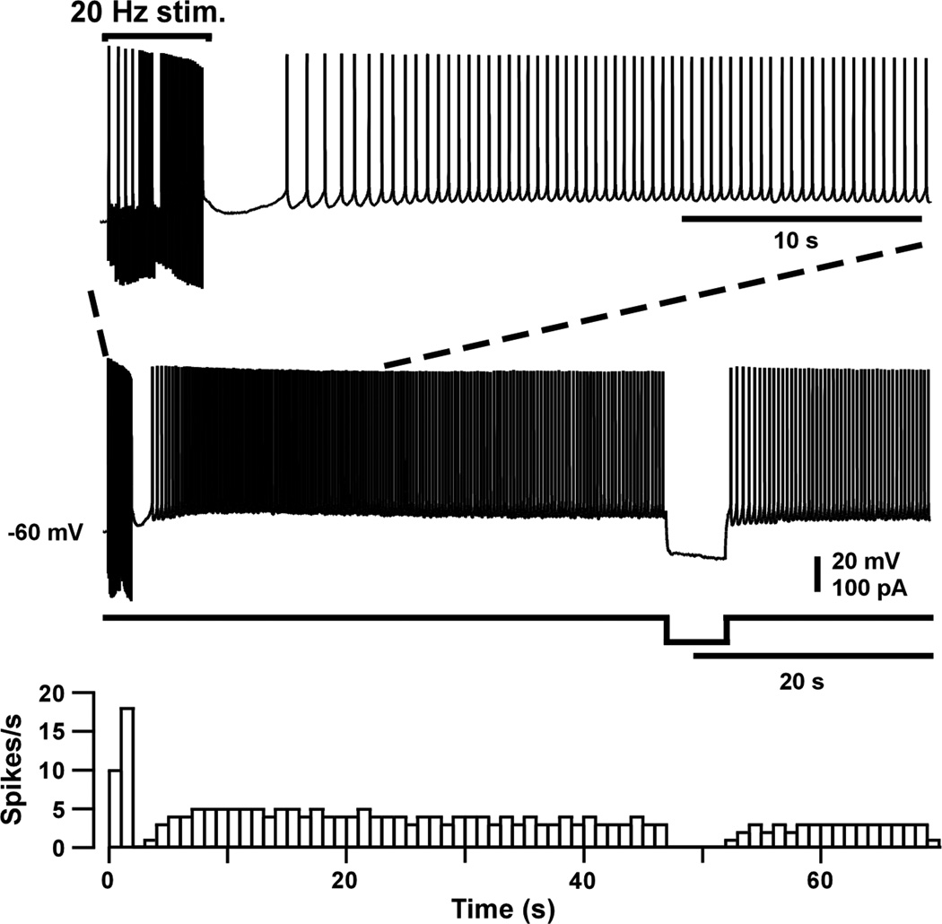 Figure 7