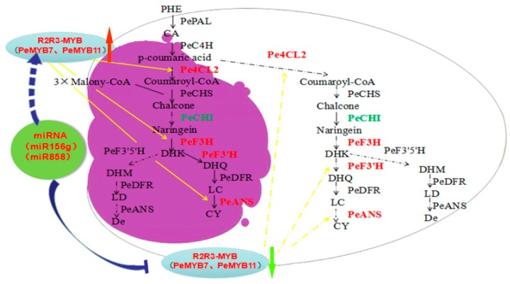 Figure 9