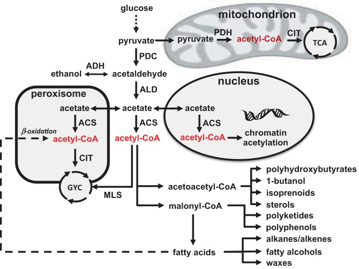 FIG 1 