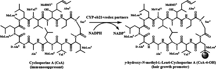 FIG 1